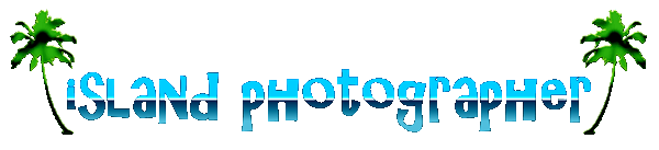 Island Wedding Photographer