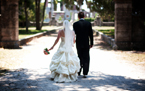 Professional Wedding Photographer  Island